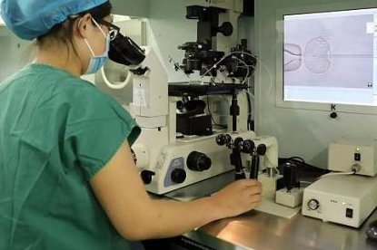 泰国试管助孕机构哪家技术强？知名机构名单分享