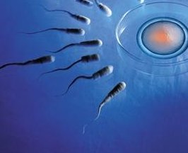 昆明试管成功率是怎样的？