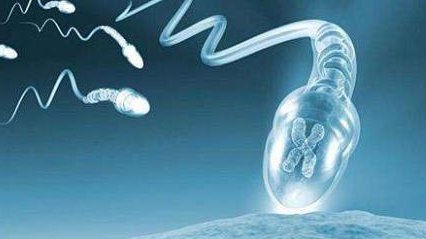 株洲市中心医院试管婴儿成功率的详细统计