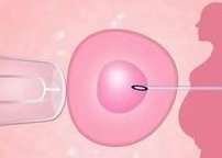 马来西亚最著名的医院三代试管婴儿医院详细排名第一次就能成功吗？