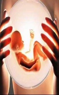 拉拉去帕亚泰2医院做试管的成功率有多少？如何才能提升拉拉试管成功率