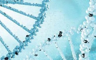 房室传导阻滞做试管能成功吗？