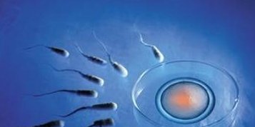 杭州邵逸夫医院做三代试管要等多久？杭州还有哪些能做卵子的试管医院