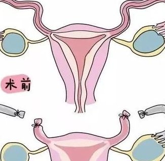 2026年国内无结婚证如何做试管？东莞市松山湖中心医院可以做吗？