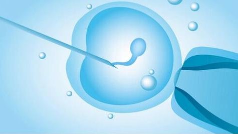 2026年长沙市妇幼试管生孩宝费用明细表