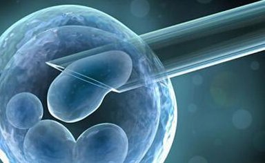 2026年去没有卵泡墨尔本做三代试管可以吗？大概要花费多少钱？