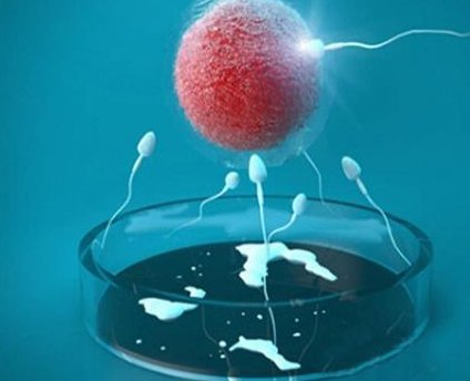 宜昌试管婴儿医院可以去这2所，附费用详情供你参考